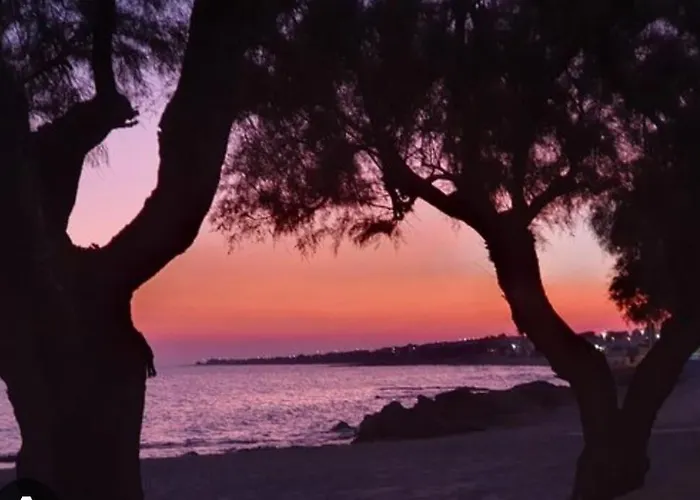 Tatil Evi Madame Monacizzo